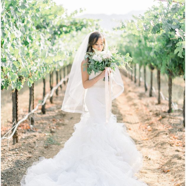 sonoma napa wedding photographer